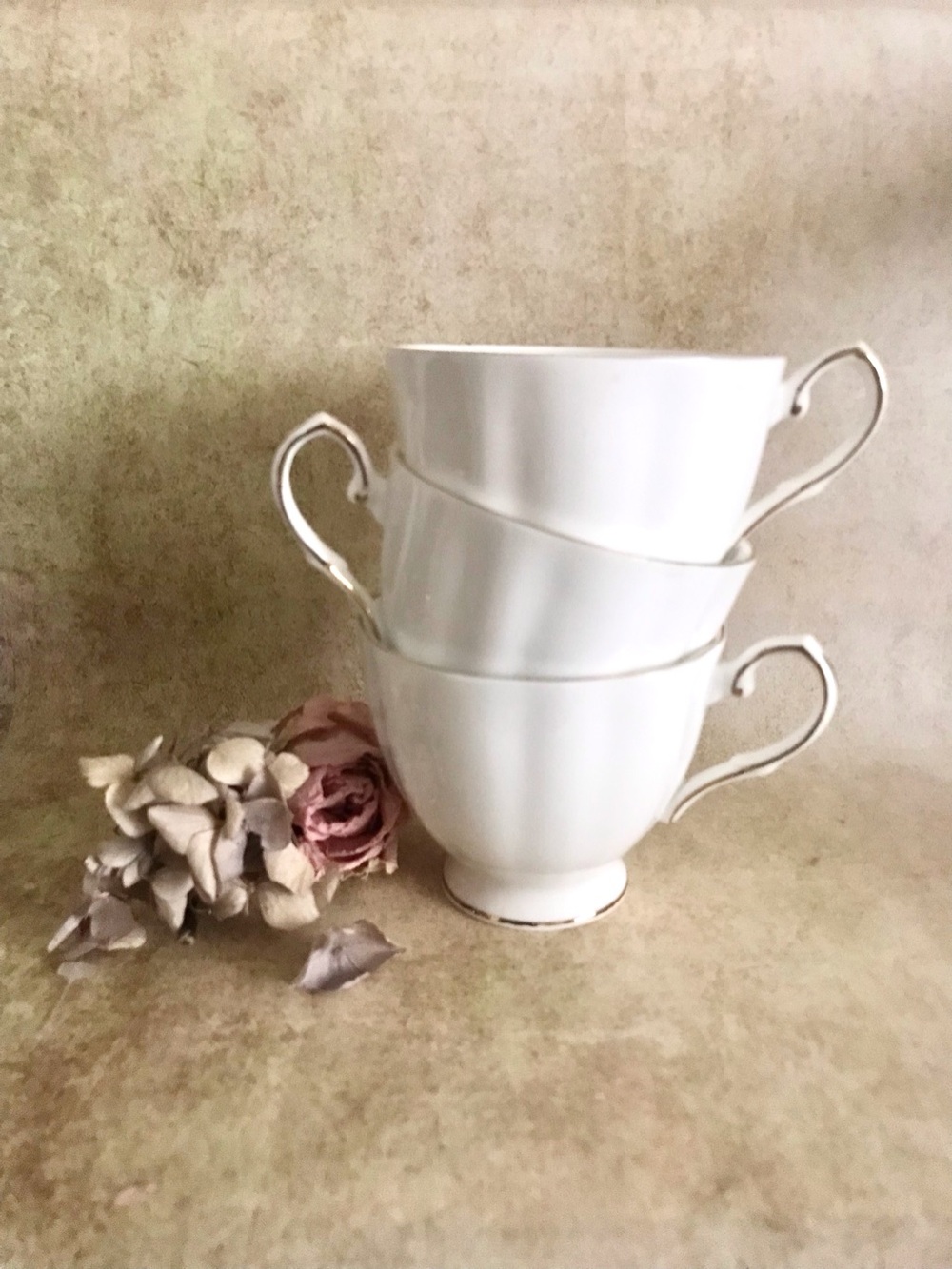 British White Fine Porcelain Tea Cups